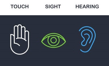Visual of Senses Relevant to Designing for Web Accessibility
